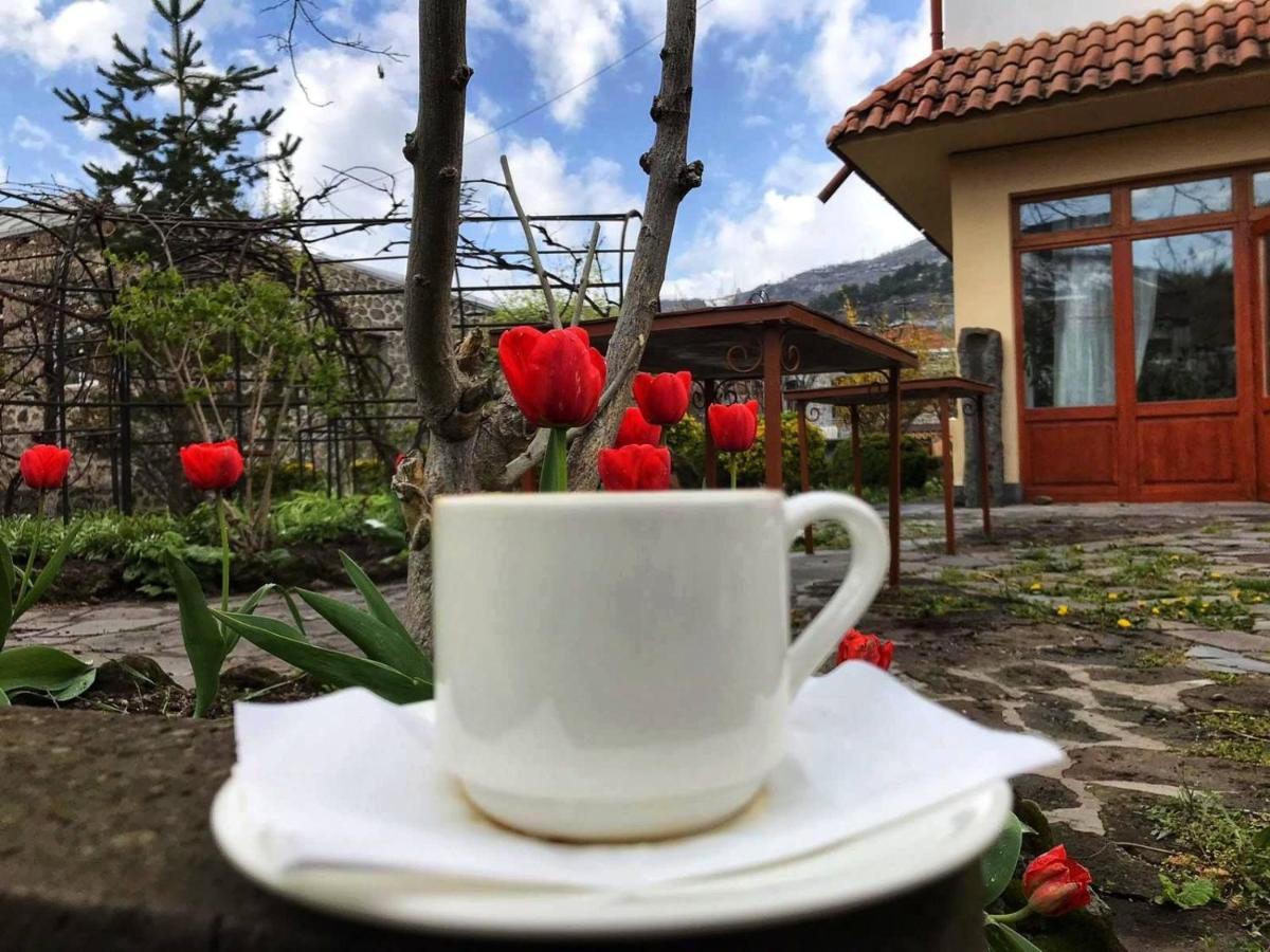 Hotel Mirhav غوريس المظهر الخارجي الصورة